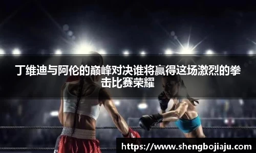 丁维迪与阿伦的巅峰对决谁将赢得这场激烈的拳击比赛荣耀